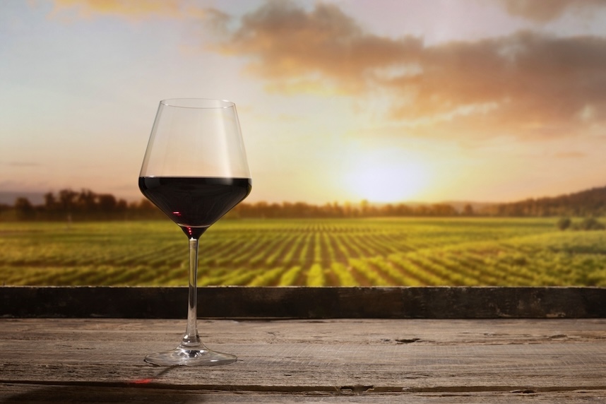 Cabernet sauvignon, cabernet franc e merlot